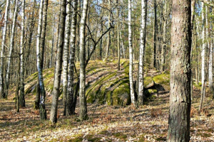 Экскурсия в Каменное село